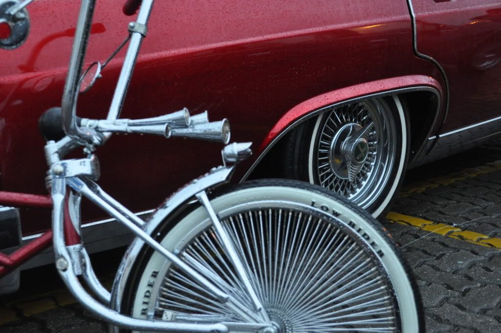 LOWRIDER BRASIL Page LayItLow Com Lowrider Forums